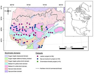 Spatiotemporal Dynamics of 20th-Century Spruce Budworm Outbreaks in Eastern Canada: Three Distinct Patterns of Outbreak Severity